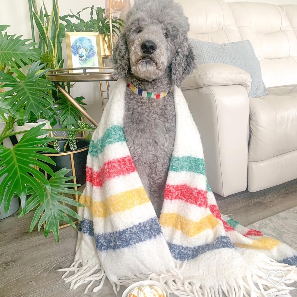 Hudson’s Bay Company HBC Stripes Classic Blanket